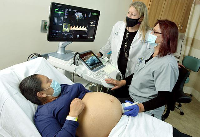 Dr. Sheffield and tech perform an ultrasound